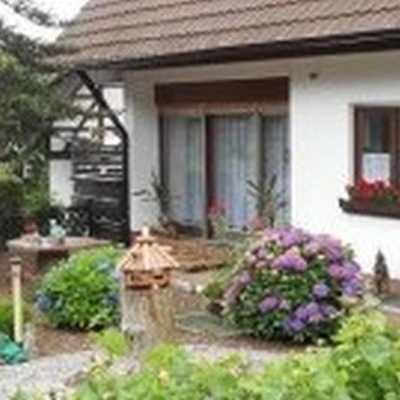 Pension Haus Monika Sasbachwalden Extérieur photo