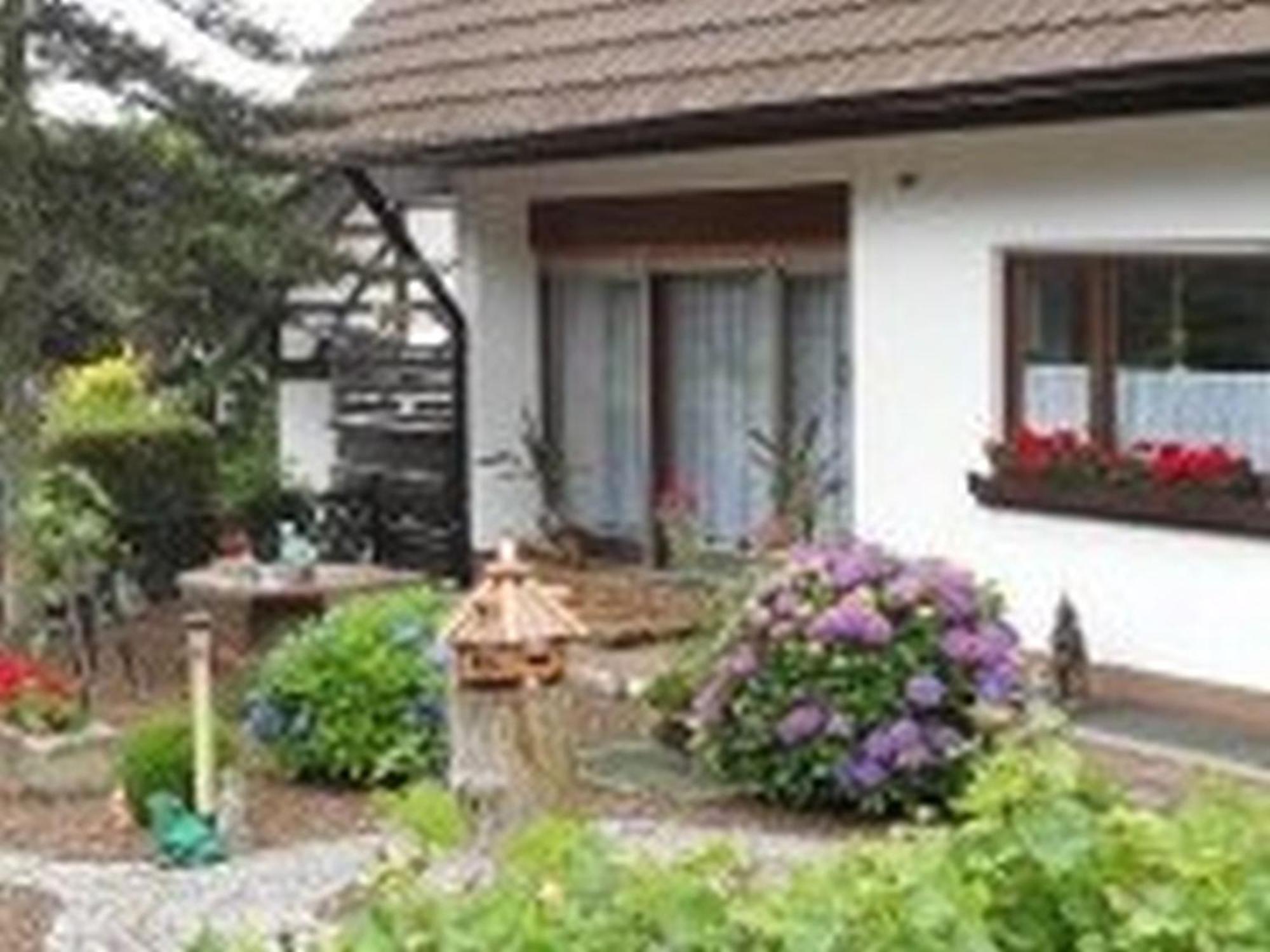 Pension Haus Monika Sasbachwalden Extérieur photo