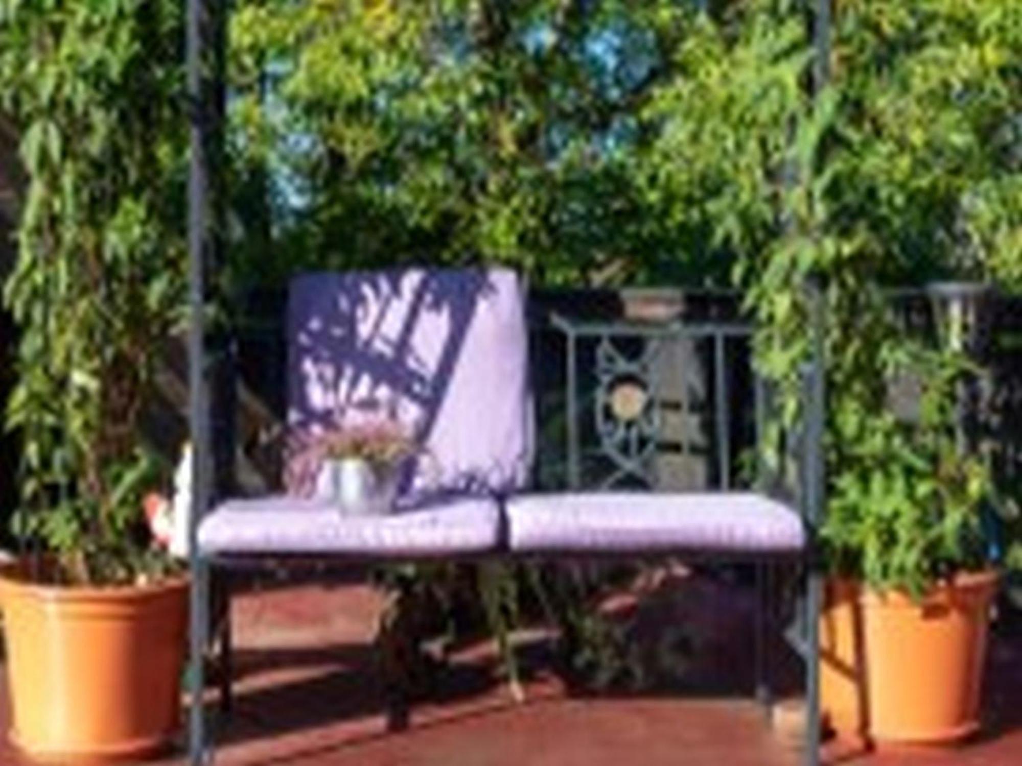 Pension Haus Monika Sasbachwalden Extérieur photo